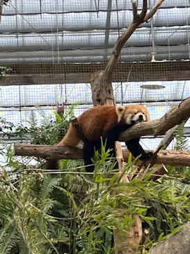 神戸どうぶつ王国に投稿された画像（2023/1/20）