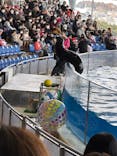 アクアワールド茨城県大洗水族館に投稿された画像（2023/1/20）