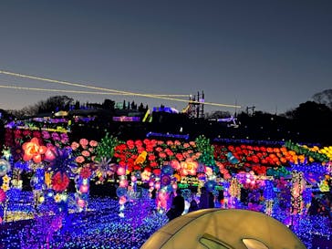 伊豆ぐらんぱる公園に投稿された画像（2023/1/20）