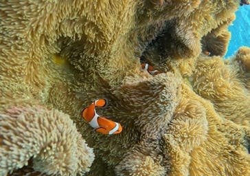 宮古島 ADVENTURE PiPi（ミヤコジマ アドベンチャー ピピ）に投稿された画像（2023/1/20）