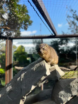 神戸どうぶつ王国に投稿された画像（2023/1/20）