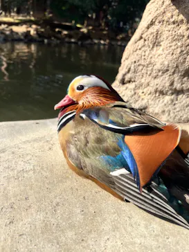 神戸どうぶつ王国に投稿された画像（2023/1/20）