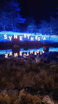 KYOTO ILLUMINATION SYNESTHESIA HILLS るり渓温泉に投稿された画像（2023/1/21）