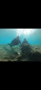 武藤潜水に投稿された画像（2023/1/21）