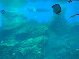 仙台うみの杜水族館に投稿された画像（2023/1/21）