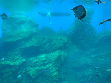 仙台うみの杜水族館に投稿された画像（2023/1/21）
