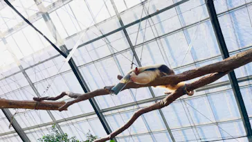 神戸どうぶつ王国に投稿された画像（2023/1/21）