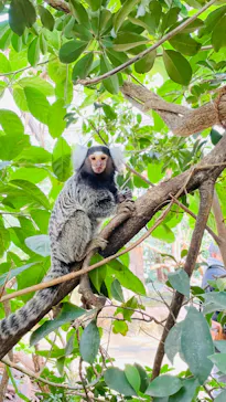 神戸どうぶつ王国に投稿された画像（2023/1/21）