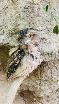 神戸どうぶつ王国に投稿された画像（2023/1/21）