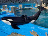 名古屋港水族館に投稿された画像（2023/1/21）