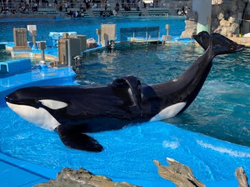 名古屋港水族館に投稿された画像（2023/1/21）