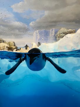 名古屋港水族館に投稿された画像（2023/1/21）