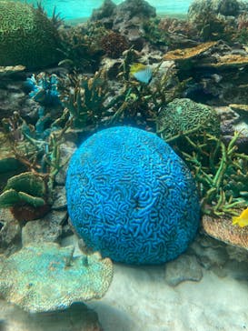 名古屋港水族館に投稿された画像（2023/1/21）