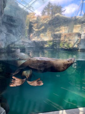 環境水族館アクアマリンふくしまに投稿された画像（2023/1/21）