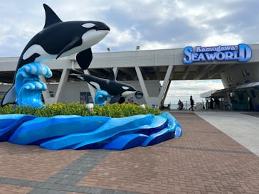 鴨川シーワールドに投稿された画像（2023/1/21）