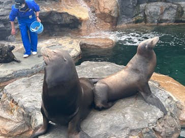 鴨川シーワールドに投稿された画像（2023/1/21）