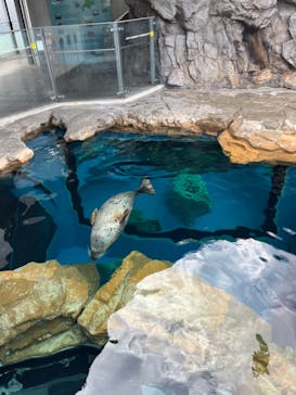 しながわ水族館に投稿された画像（2023/1/21）