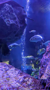 すみだ水族館に投稿された画像（2023/1/21）