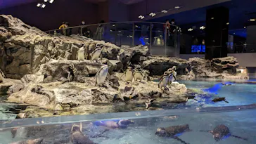 すみだ水族館に投稿された画像（2023/1/21）