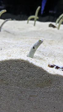 すみだ水族館に投稿された画像（2023/1/21）