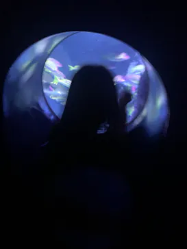 すみだ水族館に投稿された画像（2023/1/21）