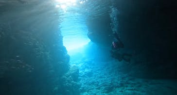 DIVING-SHOP SUNSに投稿された画像（2023/1/21）