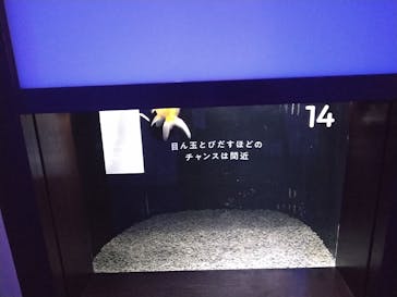 横浜開運水族館 フォーチュンアクアリウムに投稿された画像（2023/1/21）