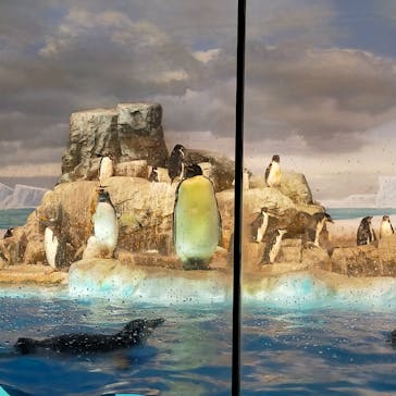 名古屋港水族館に投稿された画像（2023/1/21）