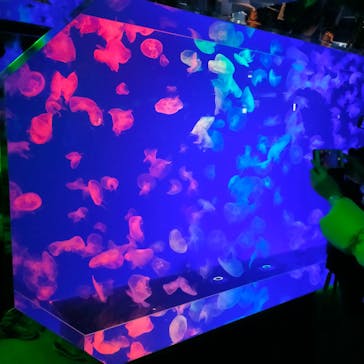 名古屋港水族館に投稿された画像（2023/1/21）