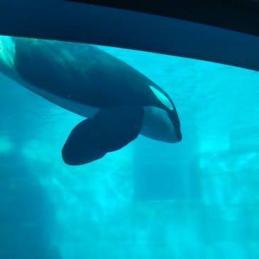 名古屋港水族館に投稿された画像（2023/1/21）
