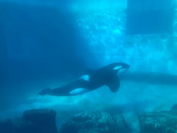 名古屋港水族館に投稿された画像（2023/1/21）