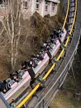日本モンキーパークに投稿された画像（2023/1/21）