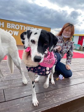 ワールド牧場に投稿された画像（2023/1/21）