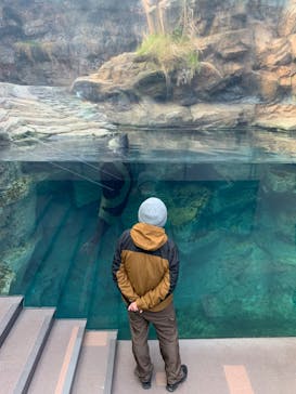 環境水族館アクアマリンふくしまに投稿された画像（2023/1/21）