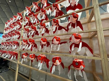 ふるさと祭り東京に投稿された画像（2023/1/21）