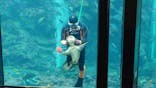 下田海中水族館に投稿された画像（2023/1/21）