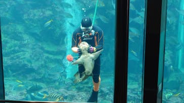 下田海中水族館に投稿された画像（2023/1/21）