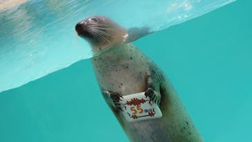 下田海中水族館に投稿された画像（2023/1/21）