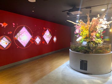 スマートアクアリウム静岡に投稿された画像（2023/1/21）