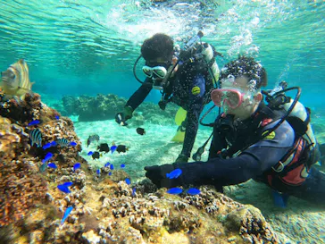 武藤潜水に投稿された画像（2023/1/21）