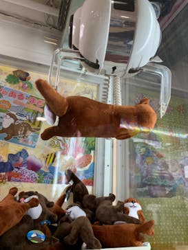 伊豆・三津シーパラダイスに投稿された画像（2023/1/21）