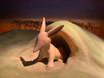 星の王子さまミュージアム 箱根サン=テグジュペリに投稿された画像（2023/1/21）