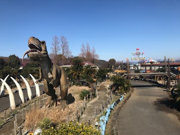 伊豆ぐらんぱる公園に投稿された画像（2023/1/21）