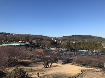 伊豆ぐらんぱる公園に投稿された画像（2023/1/21）