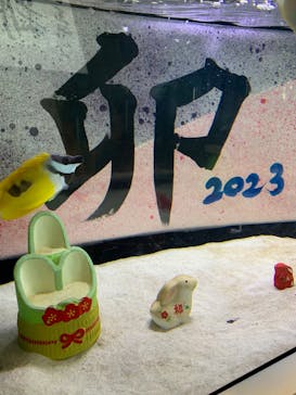 アクアワールド茨城県大洗水族館に投稿された画像（2023/1/21）