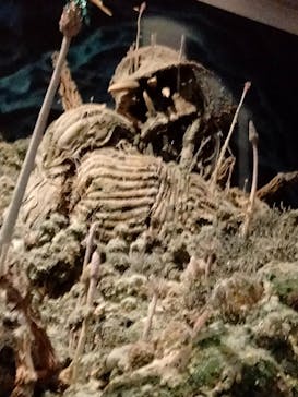 アニメージュとジブリ展に投稿された画像（2023/1/21）