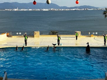 マリンワールド海の中道に投稿された画像（2023/1/21）