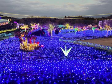 伊豆ぐらんぱる公園に投稿された画像（2023/1/21）