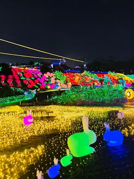 伊豆ぐらんぱる公園に投稿された画像（2023/1/21）