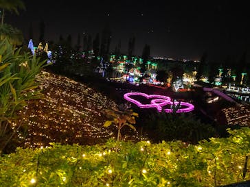 美らヤシパークオキナワ・東南植物楽園に投稿された画像（2023/1/21）